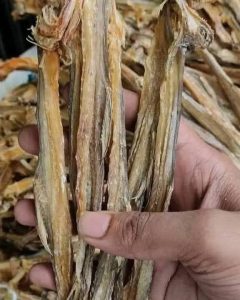 518212300_122111702702928731_8306640802425233307_n