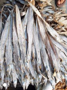 593112049_122144018486928731_816574041393749375_n